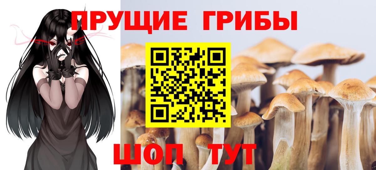Галлюциногенные грибы прущие грибы Волжский